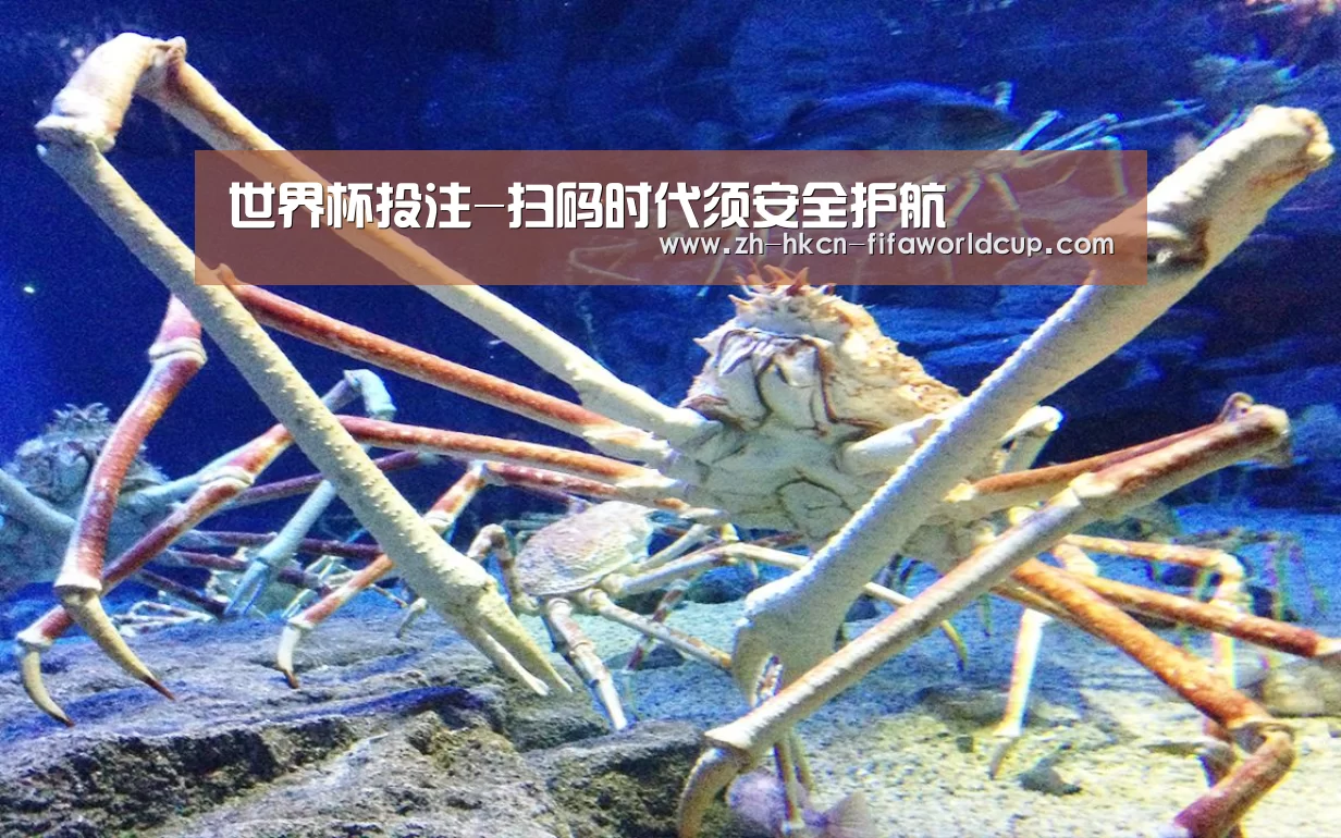 世界杯投注-扫码时代须安全护航(图4) 世界杯投注
