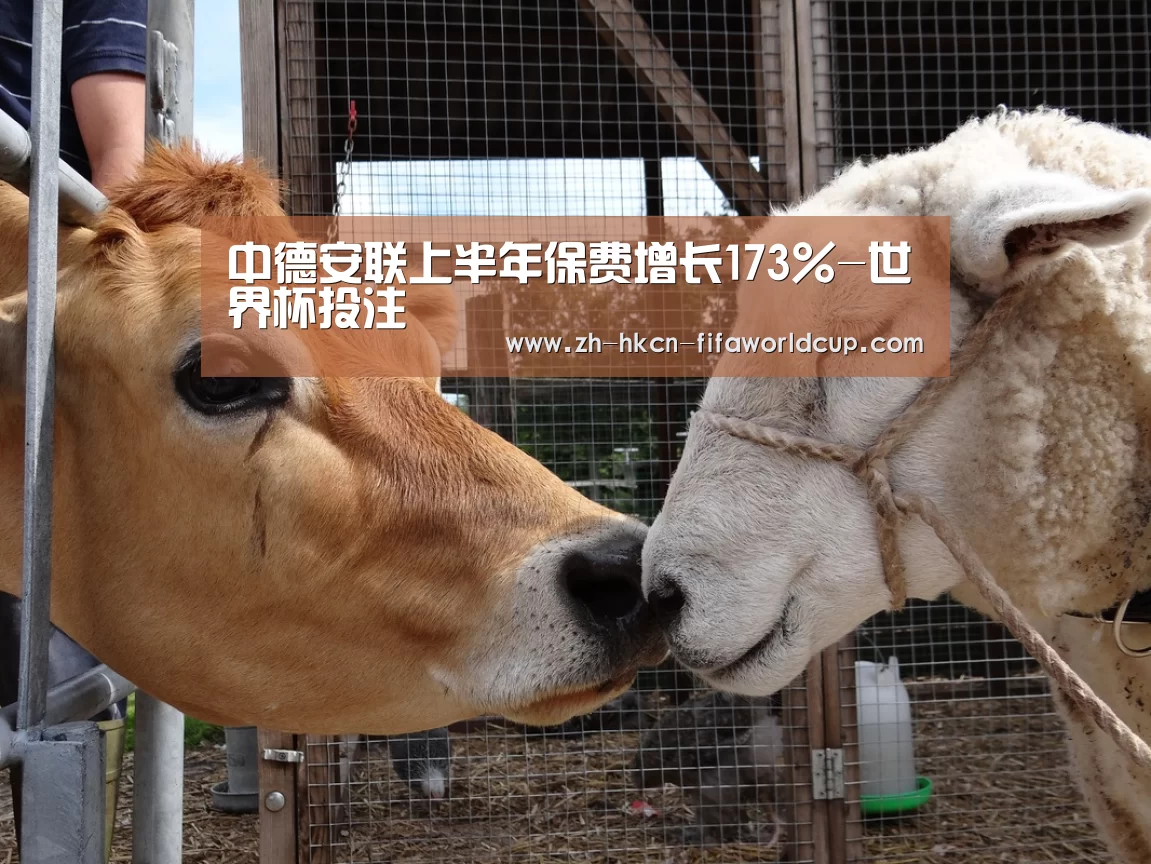 世界杯投注