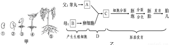 奇顺投资:橡胶承压调整,多单趋势调整不变-世界杯投注(图3) 世界杯投注