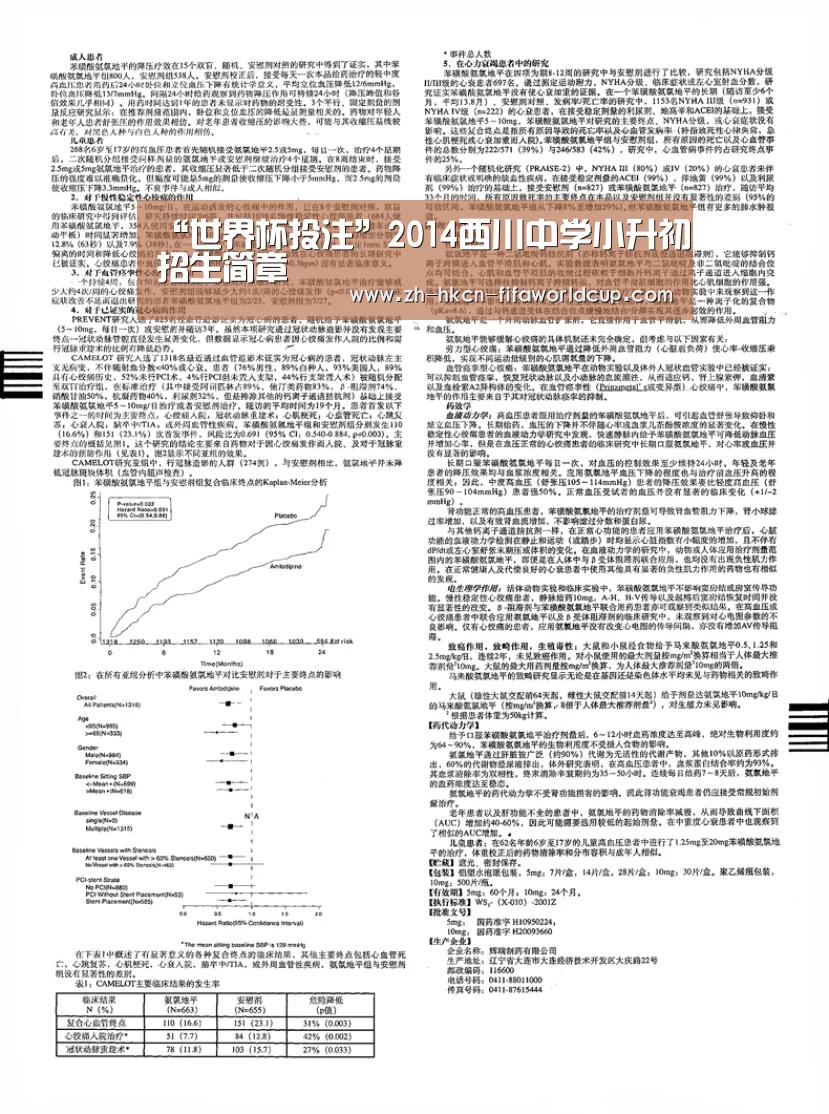 “世界杯投注”2014西川中学小升初招生简章