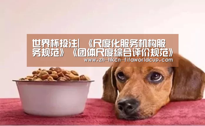 世界杯投注|
《尺度化服务机构服务规范》《团体尺度综合评价规范》2项团体尺度公布